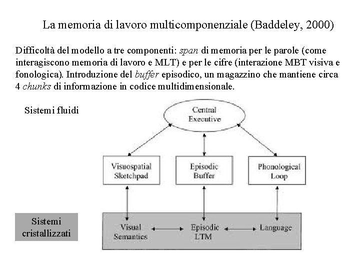 La memoria di lavoro multicomponenziale (Baddeley, 2000) Difficoltà del modello a tre componenti: span