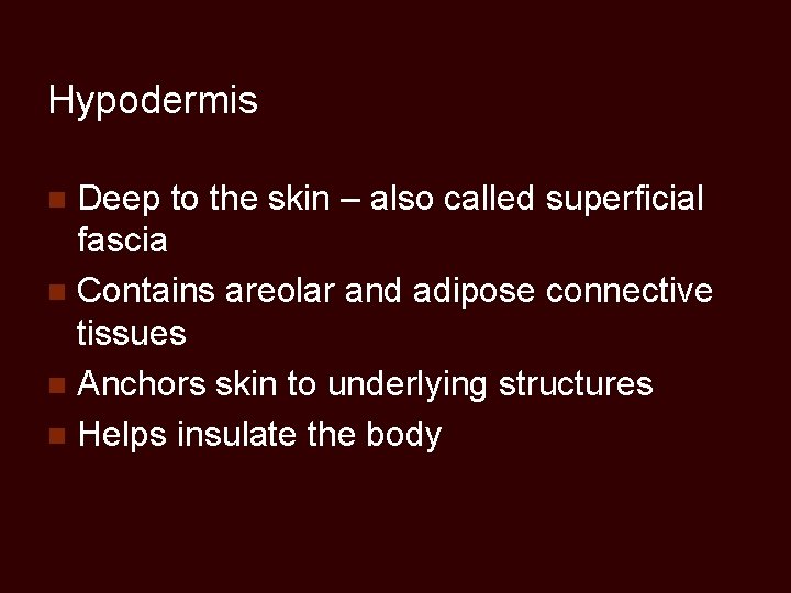 Hypodermis Deep to the skin – also called superficial fascia n Contains areolar and