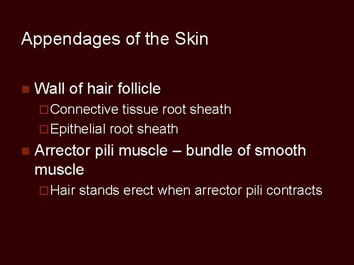 Appendages of the Skin n Wall of hair follicle ¨ Connective tissue root sheath