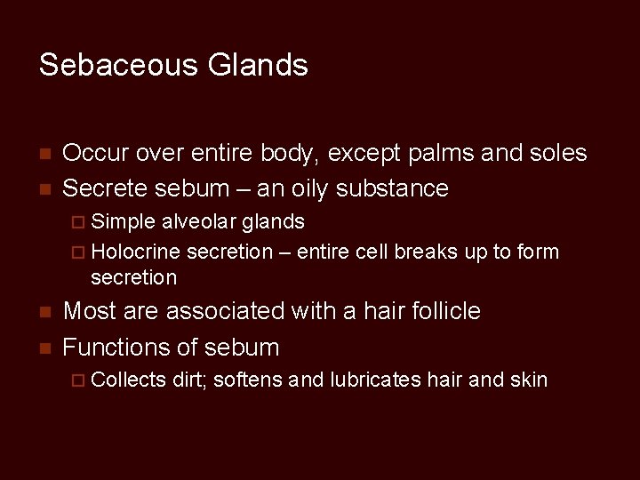 Sebaceous Glands n n Occur over entire body, except palms and soles Secrete sebum