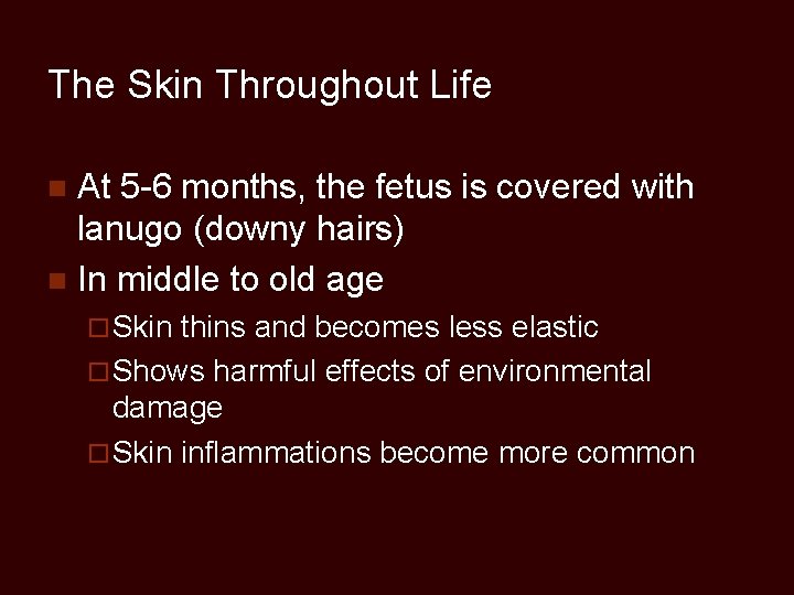 The Skin Throughout Life At 5 -6 months, the fetus is covered with lanugo