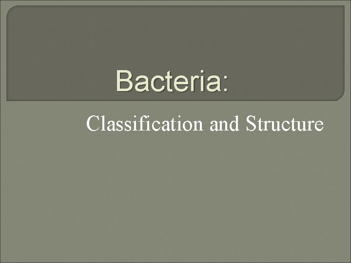 Bacteria: Classification and Structure 