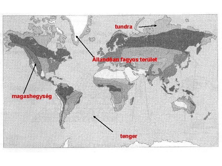 tundra Állandóan fagyos terület magashegység tenger 