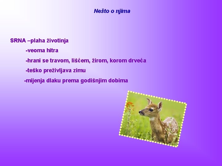 Nešto o njima SRNA –plaha životinja -veoma hitra -hrani se travom, lišćem, žirom, korom