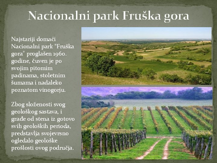 Nacionalni park Fruška gora Najstariji domaći Nacionalni park “Fruška gora” proglašen 1960. godine, čuven