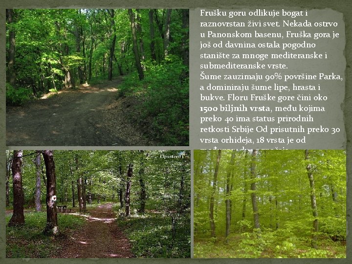 Frušku goru odlikuje bogat i raznovrstan živi svet. Nekada ostrvo u Panonskom basenu, Fruška Frušku goru odlikuje bogat i raznovrstan živi svet. Nekada ostrvo u Panonskom basenu, Fruška