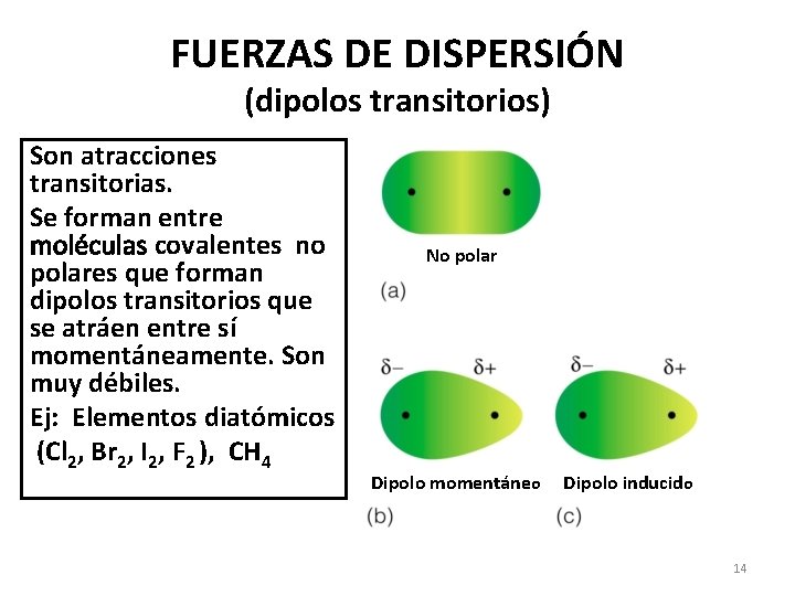 FUERZAS DE DISPERSIÓN (dipolos transitorios) Son atracciones transitorias. Se forman entre moléculas covalentes no