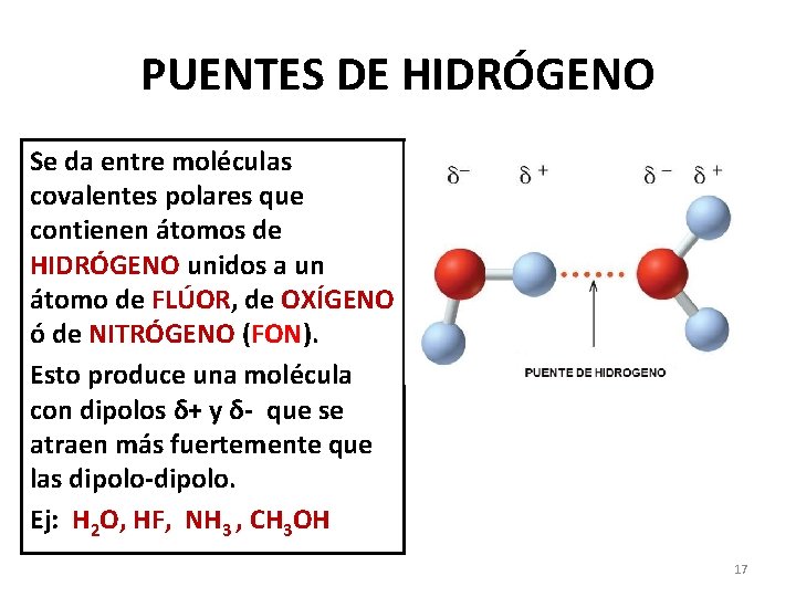 PUENTES DE HIDRÓGENO Se da entre moléculas covalentes polares que contienen átomos de HIDRÓGENO