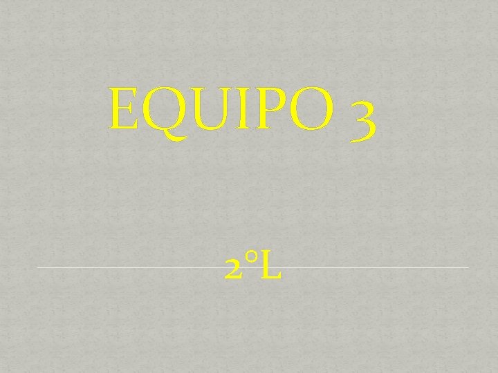 EQUIPO 3 2°L 