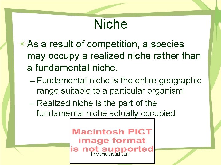 Niche As a result of competition, a species may occupy a realized niche rather