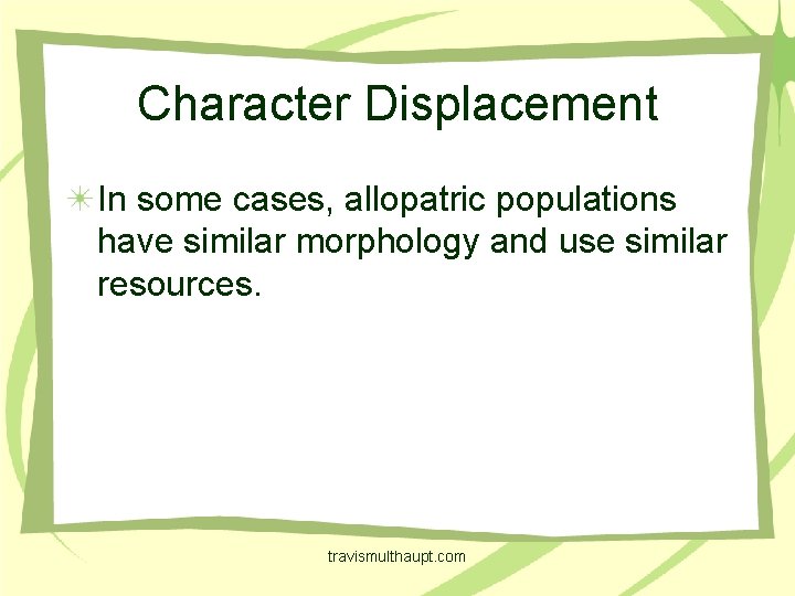 Character Displacement In some cases, allopatric populations have similar morphology and use similar resources.