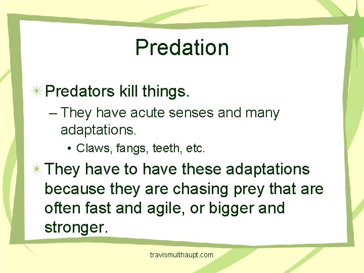 Predation Predators kill things. – They have acute senses and many adaptations. • Claws,