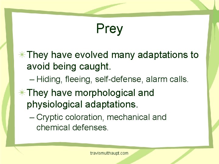 Prey They have evolved many adaptations to avoid being caught. – Hiding, fleeing, self-defense,