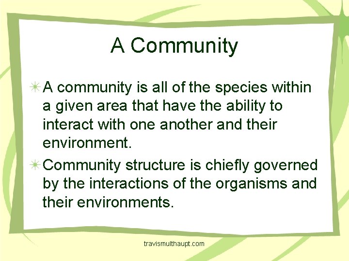 A Community A community is all of the species within a given area that