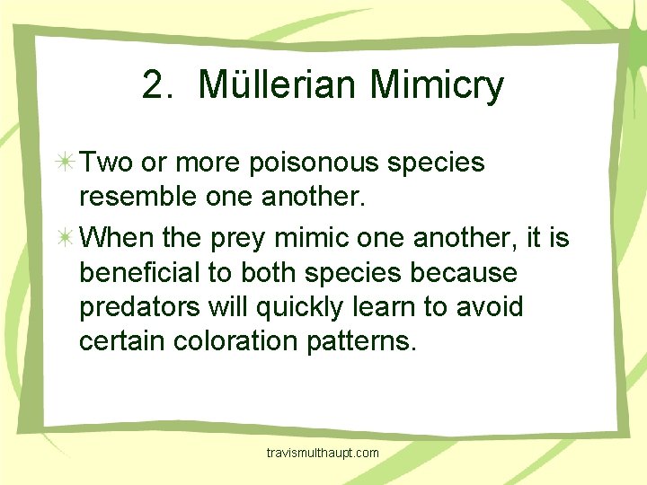 2. Müllerian Mimicry Two or more poisonous species resemble one another. When the prey