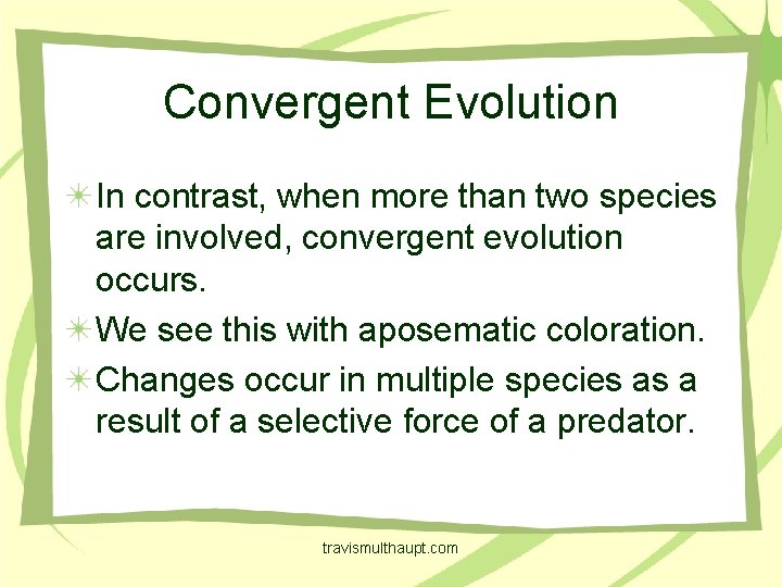 Convergent Evolution In contrast, when more than two species are involved, convergent evolution occurs.