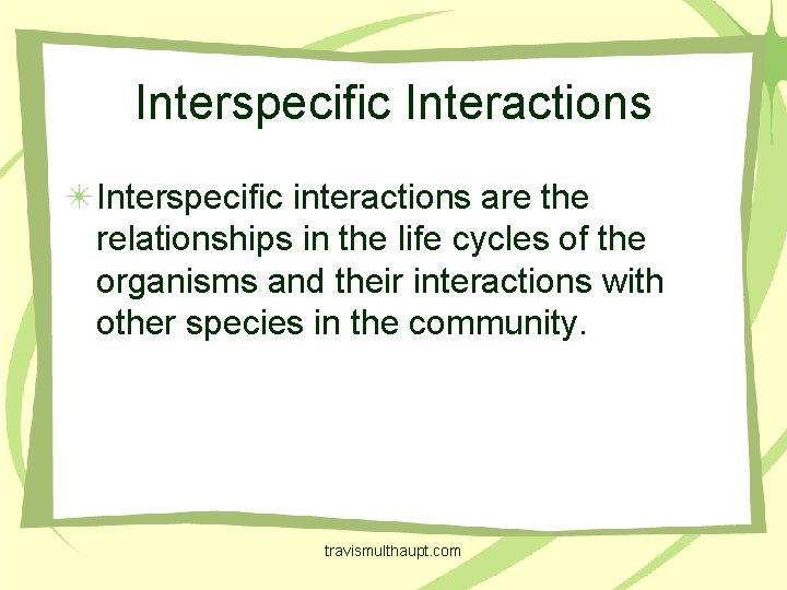 Interspecific Interactions Interspecific interactions are the relationships in the life cycles of the organisms