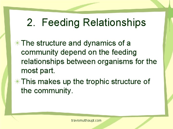 2. Feeding Relationships The structure and dynamics of a community depend on the feeding