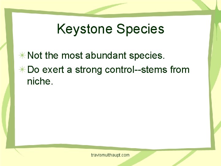 Keystone Species Not the most abundant species. Do exert a strong control--stems from niche.