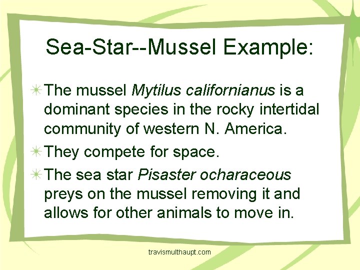 Sea-Star--Mussel Example: The mussel Mytilus californianus is a dominant species in the rocky intertidal