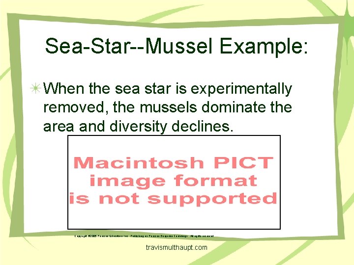 Sea-Star--Mussel Example: When the sea star is experimentally removed, the mussels dominate the area