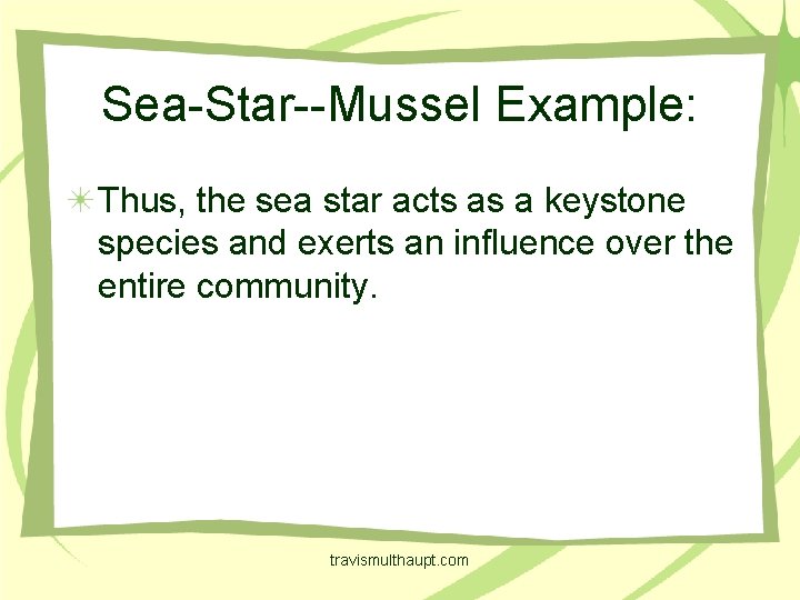 Sea-Star--Mussel Example: Thus, the sea star acts as a keystone species and exerts an