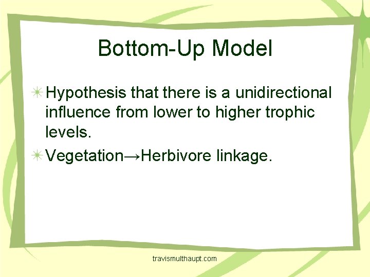 Bottom-Up Model Hypothesis that there is a unidirectional influence from lower to higher trophic