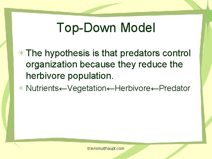 Top-Down Model The hypothesis is that predators control organization because they reduce the herbivore