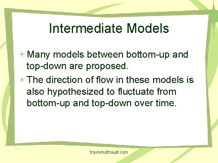 Intermediate Models Many models between bottom-up and top-down are proposed. The direction of flow