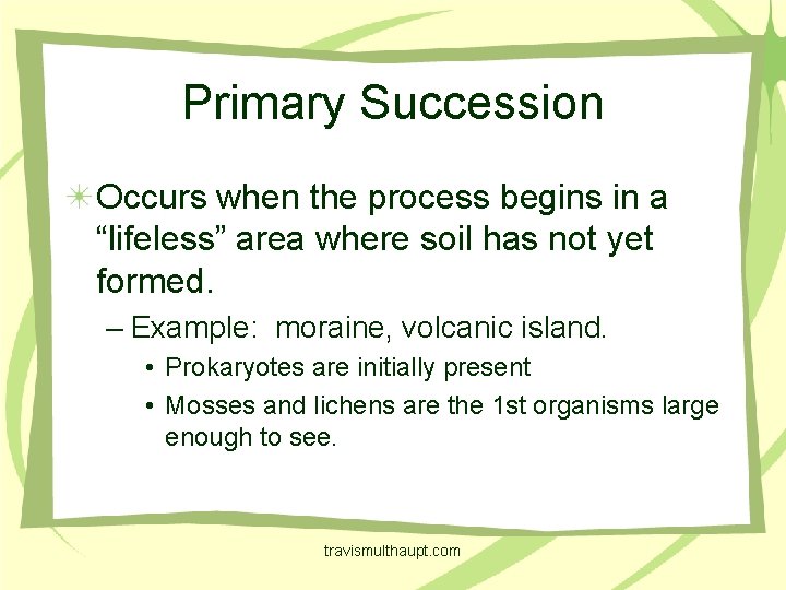 Primary Succession Occurs when the process begins in a “lifeless” area where soil has