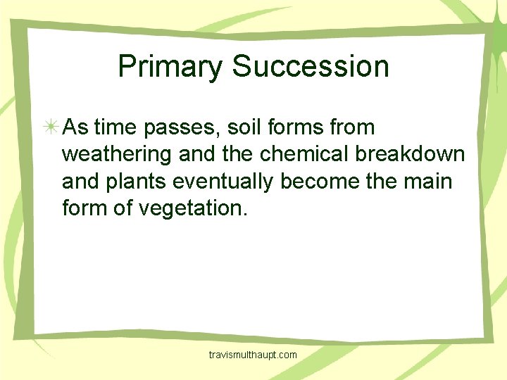 Primary Succession As time passes, soil forms from weathering and the chemical breakdown and