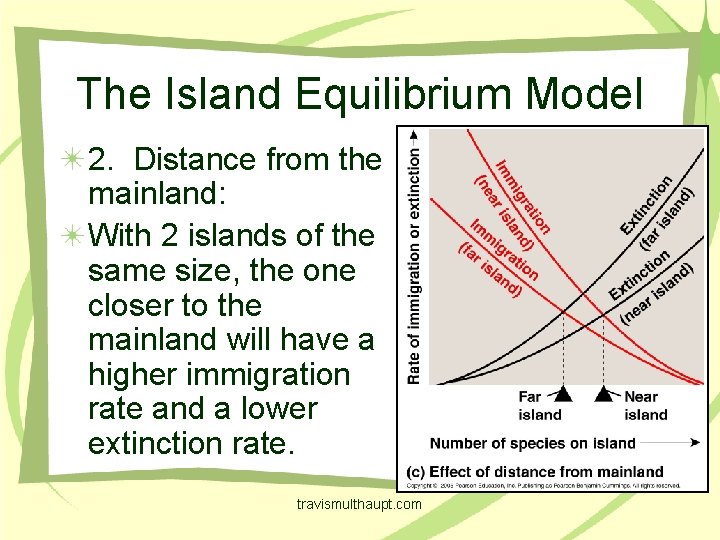 The Island Equilibrium Model 2. Distance from the mainland: With 2 islands of the