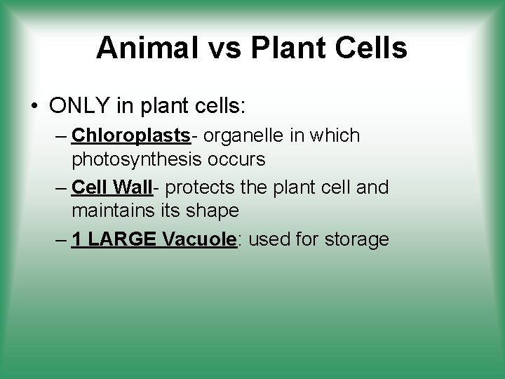 Animal vs Plant Cells • ONLY in plant cells: – Chloroplasts- organelle in which