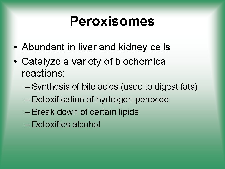 Peroxisomes • Abundant in liver and kidney cells • Catalyze a variety of biochemical