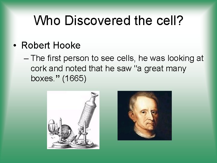 Who Discovered the cell? • Robert Hooke – The first person to see cells,