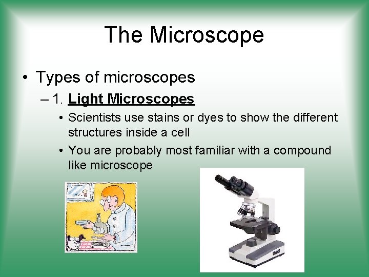 The Microscope • Types of microscopes – 1. Light Microscopes • Scientists use stains