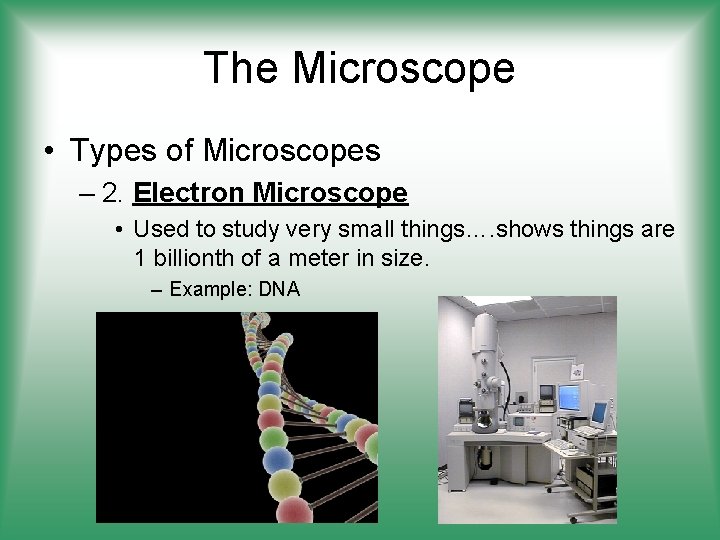The Microscope • Types of Microscopes – 2. Electron Microscope • Used to study