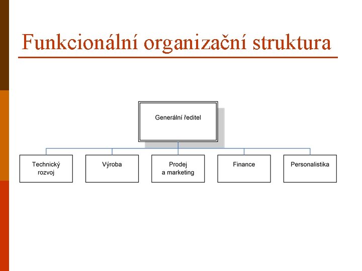 Funkcionální organizační struktura 