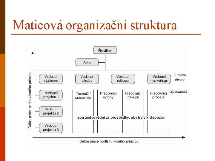 Maticová organizační struktura 