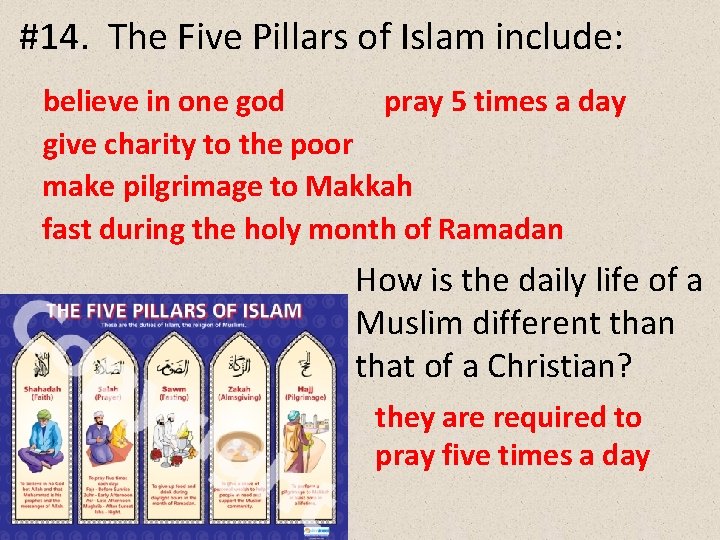 #14. The Five Pillars of Islam include: believe in one god pray 5 times