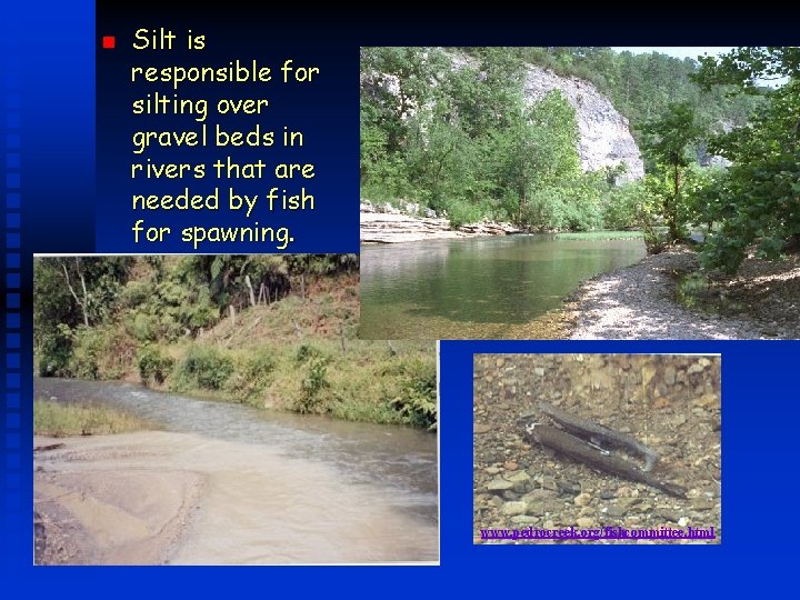 n Silt is responsible for silting over gravel beds in rivers that are needed