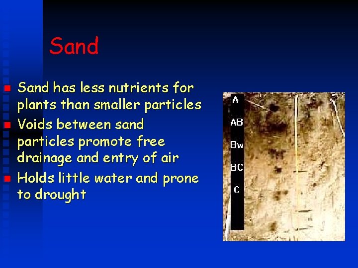 Sand n n n Sand has less nutrients for plants than smaller particles Voids