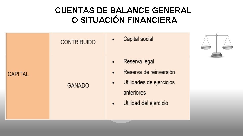 CUENTAS DE BALANCE GENERAL O SITUACIÓN FINANCIERA 