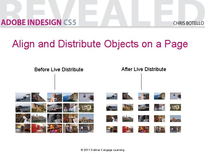 Align and Distribute Objects on a Page Before Live Distribute After Live Distribute ©