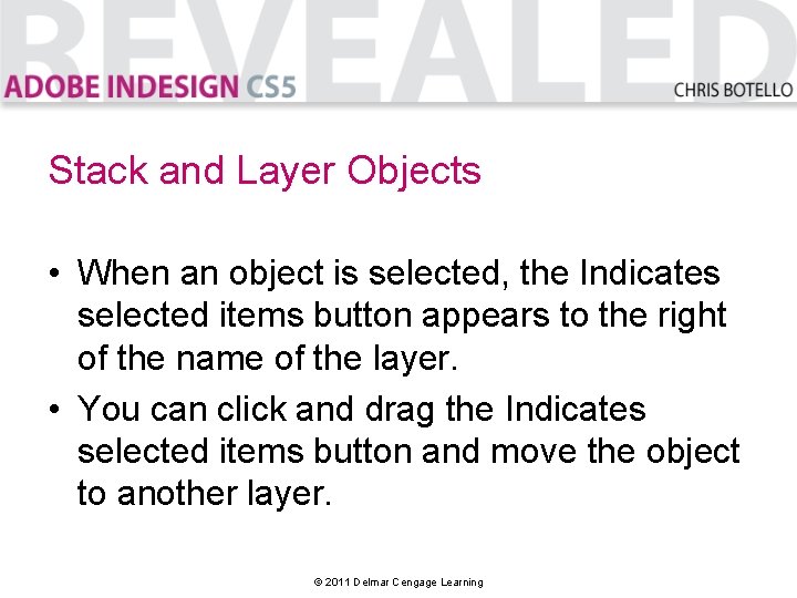 Stack and Layer Objects • When an object is selected, the Indicates selected items
