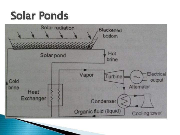 Solar Ponds 