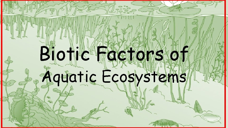 Biotic Factors of Aquatic Ecosystems 