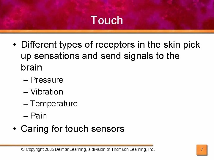 Chapter 6 Safeguarding Your Senses Copyright 2005 Delmar
