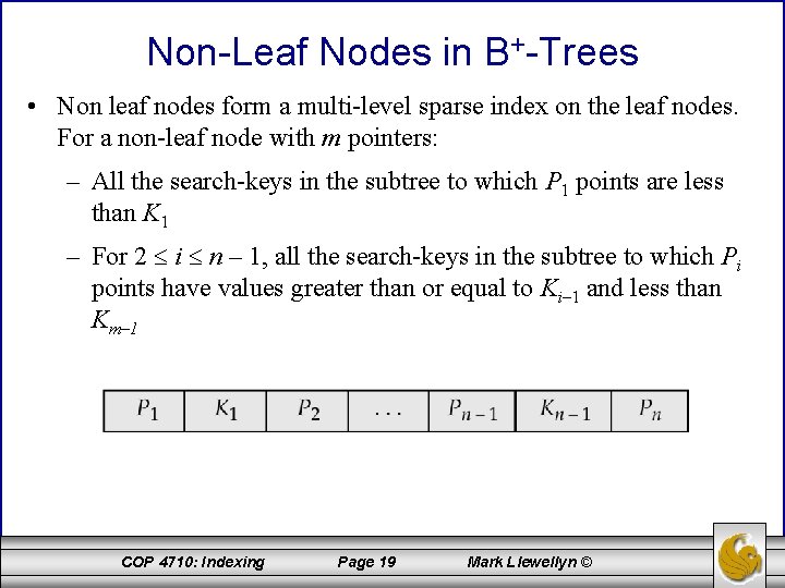 Non-Leaf Nodes in B+-Trees • Non leaf nodes form a multi-level sparse index on