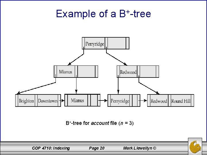 Example of a B+-tree for account file (n = 3) COP 4710: Indexing Page